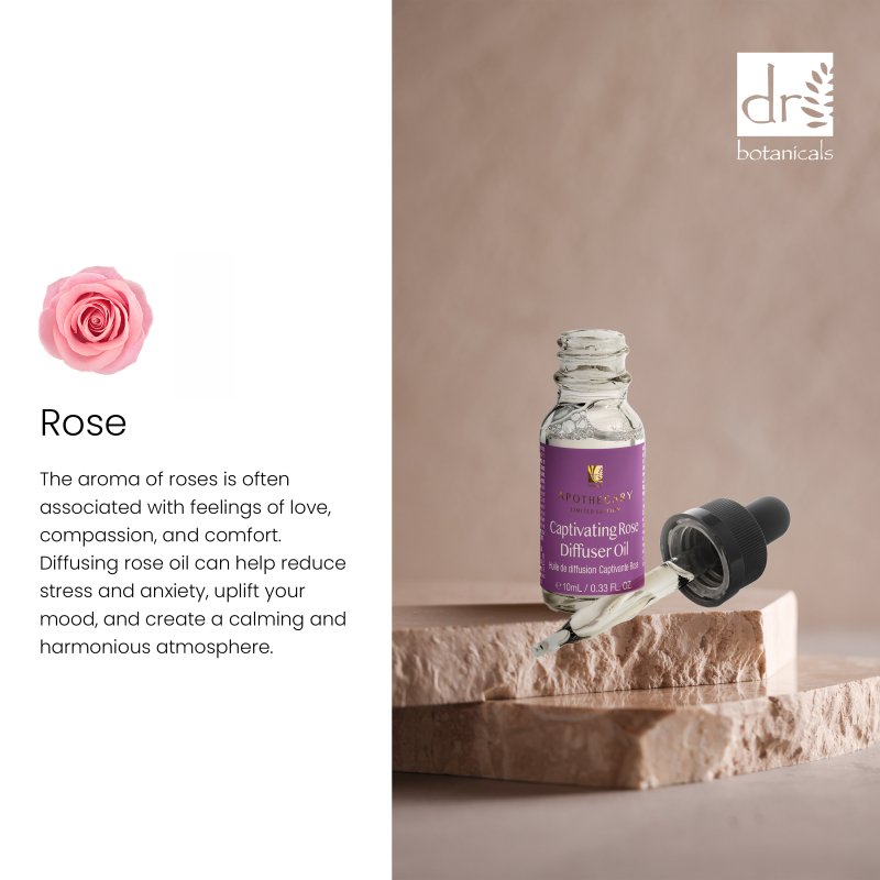 Dr Botanicals Captivating Rose Diffuser Oil 10ml Twin Value Savings Pack - skinChemists