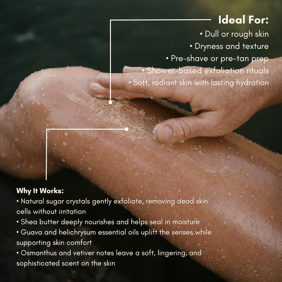 Guava Helichrysum Illuminating Shea Body Scrub