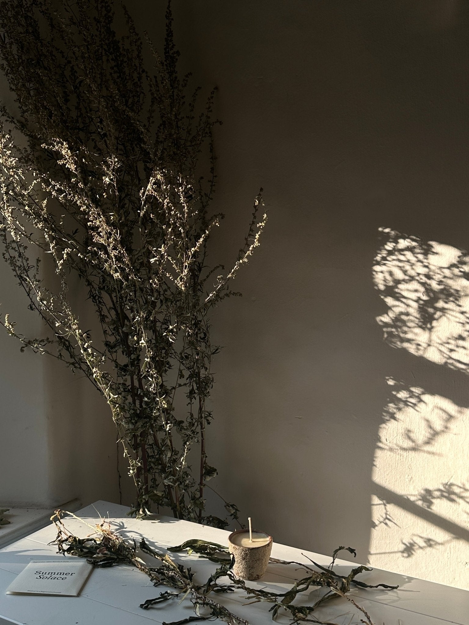 Souchong Debut Earthen Tallow Candle – Smoke-Brushed Terracotta Vessel 4 oz